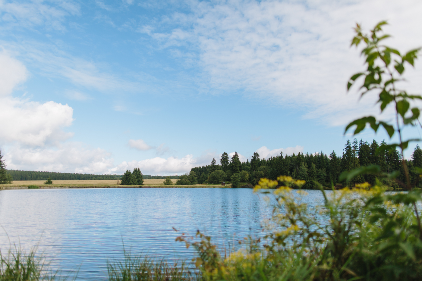 See im harz nahe der Fellerei